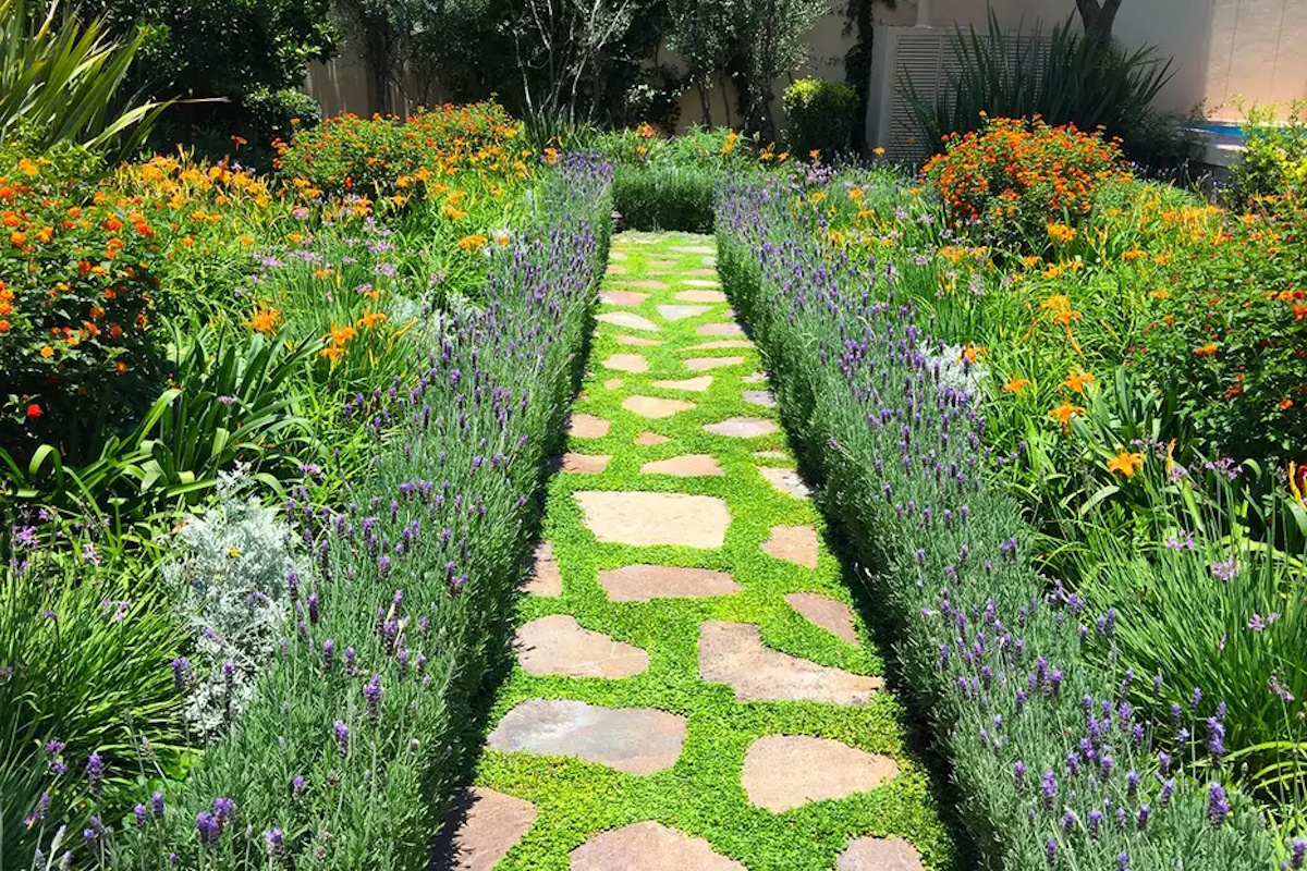 Estilo moderno en diseño jardines Gavà con iluminación y jardineras